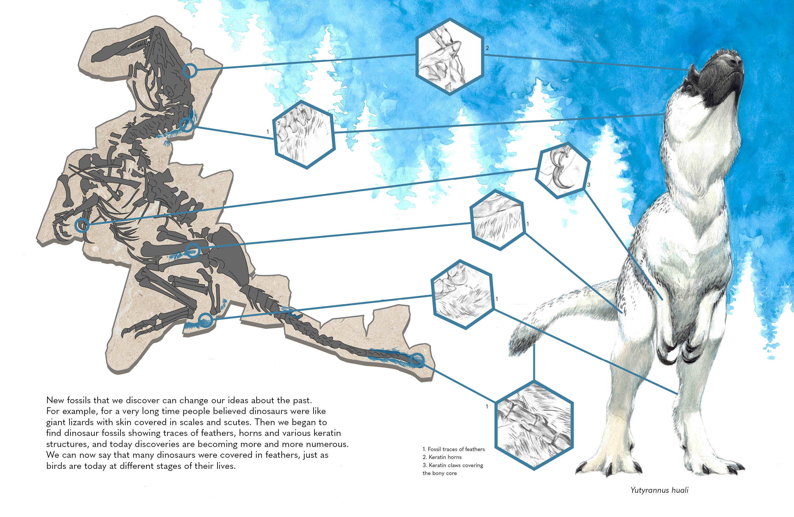 Dinosauri Dinosaurs. Science Through Time